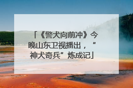 《警犬向前冲》今晚山东卫视播出，“神犬奇兵”炼成记