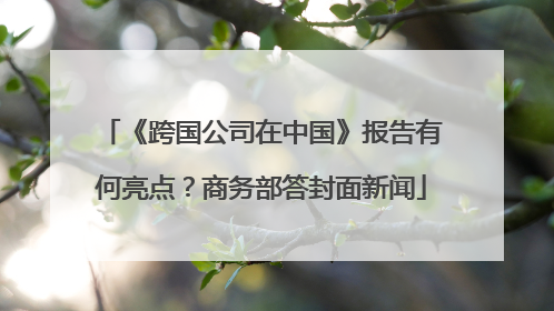 《跨国公司在中国》报告有何亮点？商务部答封面新闻
