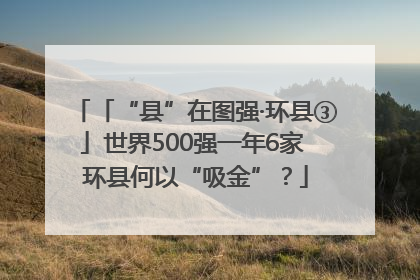 「“县”在图强·环县③」世界500强一年6家 环县何以“吸金”？