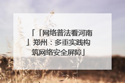 「网络普法看河南」郑州：多重实践构筑网络安全屏障