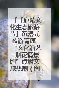 「庐陵文化生态旅游节」沉浸式夜游青原 “文化演艺+烟花情景剧”点燃文旅热潮（图）