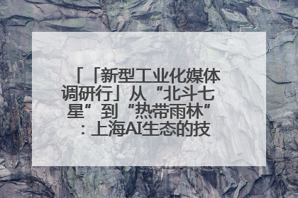 「新型工业化媒体调研行」从“北斗七星”到“热带雨林”：上海AI生态的技术商业共生密码