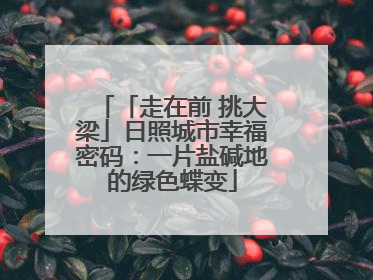「走在前 挑大梁」日照城市幸福密码：一片盐碱地的绿色蝶变