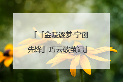 「金陵逐梦·宁创先锋」巧云破茧记