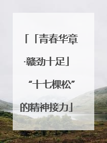 「青春华章·赣劲十足」“十七棵松”的精神接力