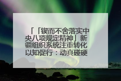 「锲而不舍落实中央八项规定精神」新疆组织系统注重转化以知促行：动真碰硬抓好整改整治