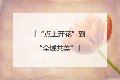 “点上开花”到“全域共美”