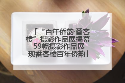 “百年侨韵·番客楼”摄影作品展揭幕 59幅摄影作品展现番客楼百年侨韵