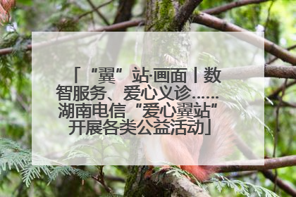 “翼”站·画面丨数智服务、爱心义诊……湖南电信“爱心翼站” 开展各类公益活动