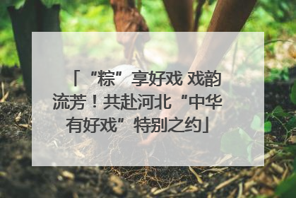 “粽”享好戏 戏韵流芳！共赴河北“中华有好戏”特别之约