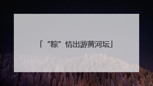 “粽”情出游黄河坛