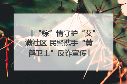 “粽”情守护“艾”满社区 民警携手“黄鹤卫士”反诈宣传