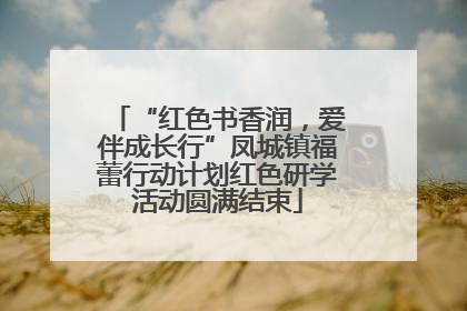 “红色书香润，爱伴成长行”凤城镇福蕾行动计划红色研学活动圆满结束