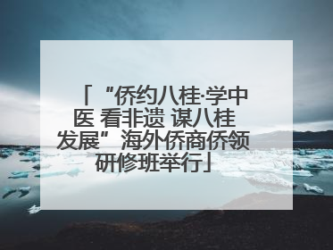 “侨约八桂·学中医 看非遗 谋八桂发展”海外侨商侨领研修班举行