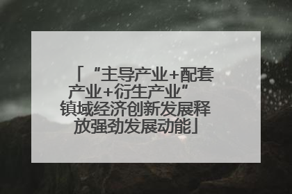 “主导产业+配套产业+衍生产业” 镇域经济创新发展释放强劲发展动能