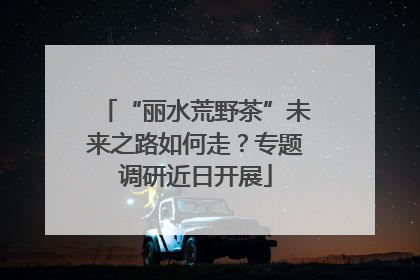 “丽水荒野茶”未来之路如何走？专题调研近日开展
