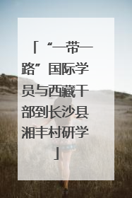 “一带一路”国际学员与西藏干部到长沙县湘丰村研学