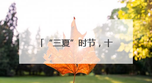 “三夏”时节，十堰多地抢抓农时有序推进夏种夏管