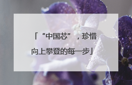 “中国芯”，珍惜向上攀登的每一步