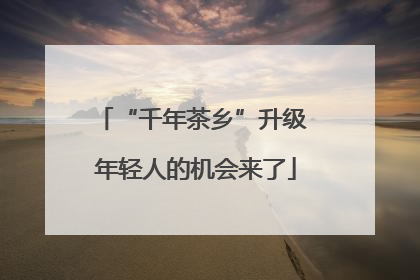 “千年茶乡”升级 年轻人的机会来了