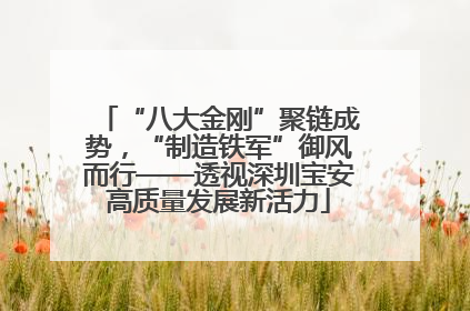 “八大金刚”聚链成势，“制造铁军”御风而行——透视深圳宝安高质量发展新活力