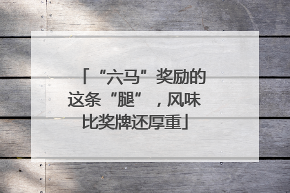 “六马”奖励的这条“腿”，风味比奖牌还厚重
