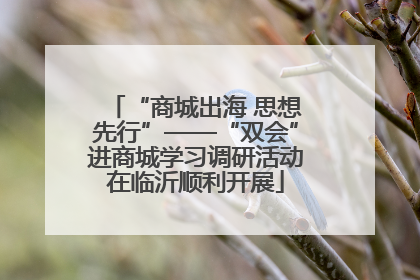 “商城出海 思想先行”——“双会”进商城学习调研活动在临沂顺利开展