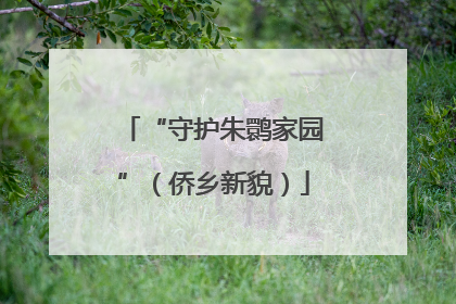 “守护朱鹮家园”（侨乡新貌）