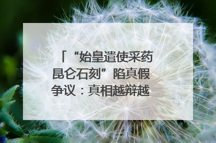 “始皇遣使采药昆仑石刻”陷真假争议：真相越辩越明｜新京报专栏