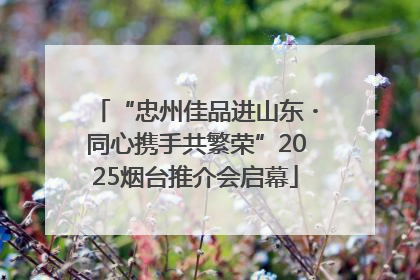 “忠州佳品进山东・同心携手共繁荣”2025烟台推介会启幕