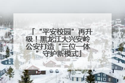 “平安校园”再升级！黑龙江大兴安岭公安打造“三位一体”守护新模式