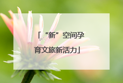 “新”空间孕育文旅新活力