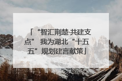 “智汇荆楚·共建支点” 我为湖北“十五五”规划建言献策