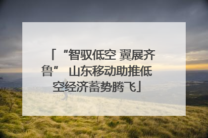 “智驭低空 翼展齐鲁” 山东移动助推低空经济蓄势腾飞