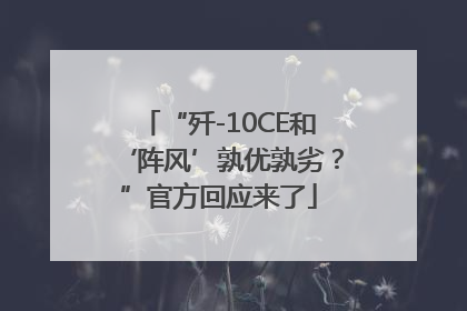 “歼-10CE和‘阵风’孰优孰劣？”官方回应来了
