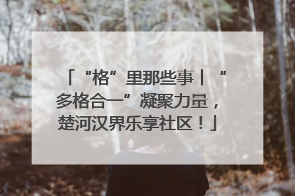 “格”里那些事丨“多格合一”凝聚力量，楚河汉界乐享社区！