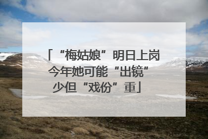 “梅姑娘”明日上岗 今年她可能“出镜”少但“戏份”重