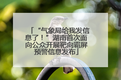 “气象局给我发信息了！”湖南首次面向公众开展靶向霸屏预警信息发布