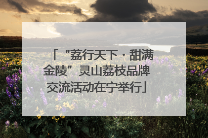 “荔行天下・甜满金陵”灵山荔枝品牌交流活动在宁举行
