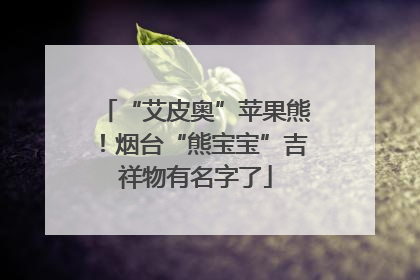 “艾皮奥”苹果熊！烟台“熊宝宝”吉祥物有名字了