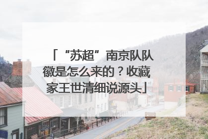 “苏超”南京队队徽是怎么来的？收藏家王世清细说源头