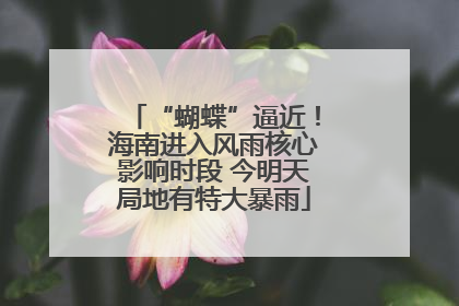 “蝴蝶”逼近！海南进入风雨核心影响时段 今明天局地有特大暴雨