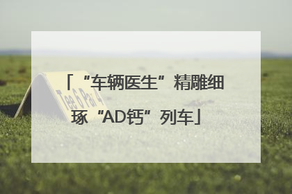 “车辆医生”精雕细琢“AD钙”列车