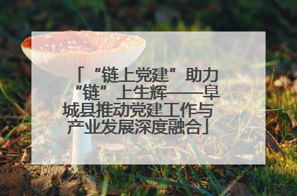“链上党建”助力“链”上生辉——阜城县推动党建工作与产业发展深度融合