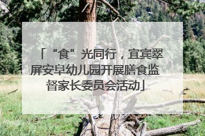“食”光同行，宜宾翠屏安阜幼儿园开展膳食监督家长委员会活动