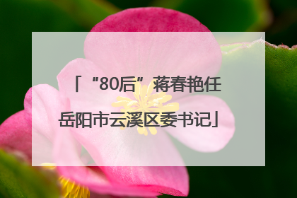 “80后”蒋春艳任岳阳市云溪区委书记