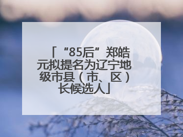 “85后”郑皓元拟提名为辽宁地级市县（市、区）长候选人