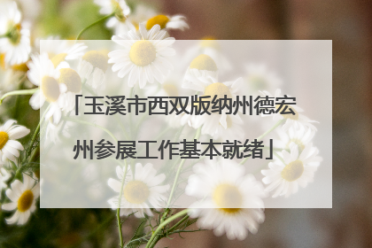 玉溪市西双版纳州德宏州参展工作基本就绪
