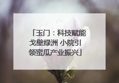 玉门：科技赋能戈壁绿洲 小院引领蜜瓜产业振兴