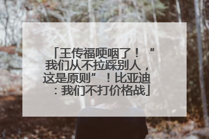 王传福哽咽了！“我们从不拉踩别人，这是原则”！比亚迪：我们不打价格战